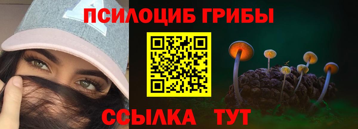 Кандалакша  Галлюциногенные грибы GOLDEN TEACHER  Вход с VPN 
